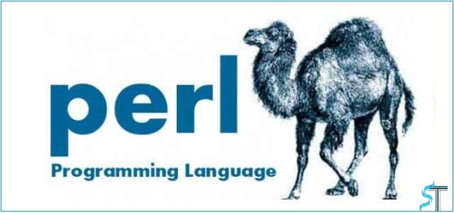 تعرف على لغة بيرل Perl اللغة الأعلى اجراً في عام 2020